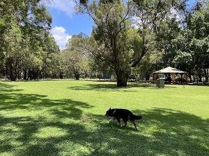 Alexander Clark Park Loganholme