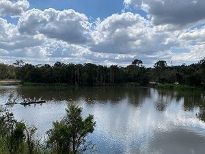 Berrinba Wetlands