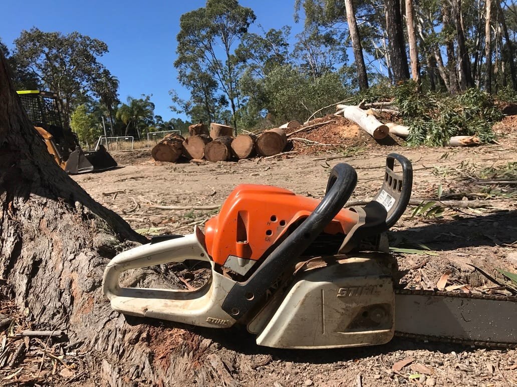 Tree Removal 1 Tree felling Logan