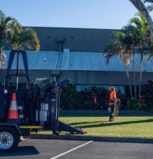 Tree Trimming 1 Tree pruners Logan QLD