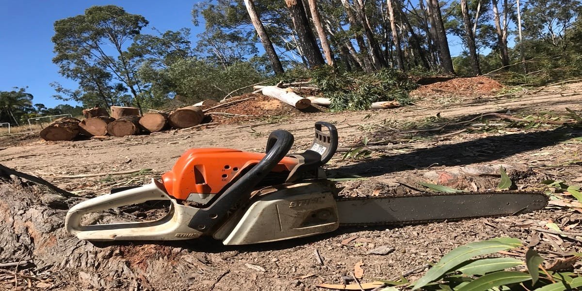 Logan 6 Tree service Logan QLD